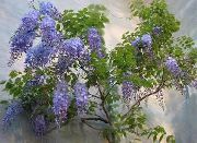 γαλάζιο λουλούδι Γλυκίνη (Wisteria) φυτά εσωτερικού χώρου φωτογραφία