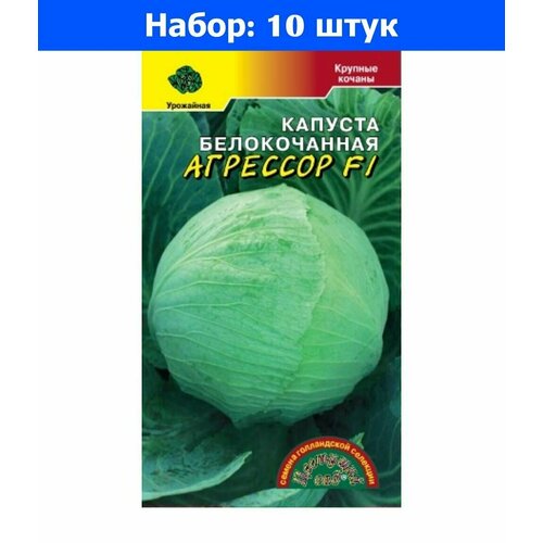   /  F1 10  ( ) - 10     -     , -, 