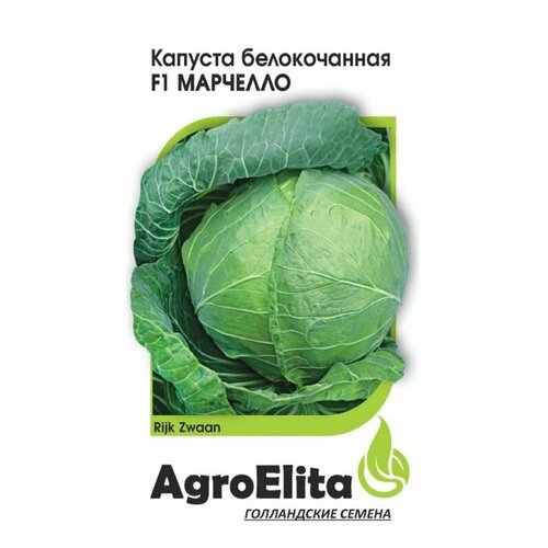      F1 . (AgroElita) 5 ( )   -     , -, 