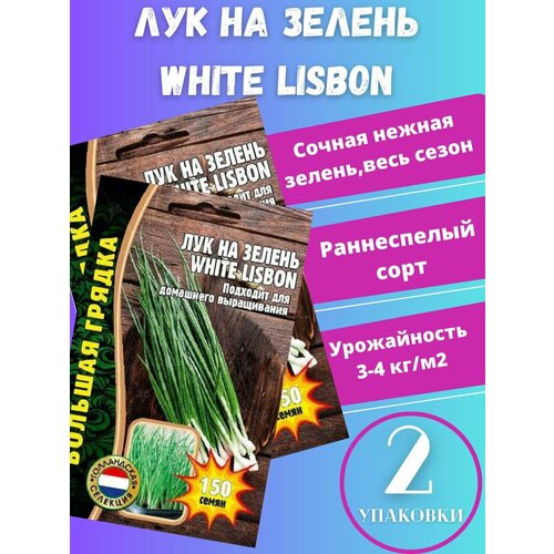      White lisbon,2    -     , -, 