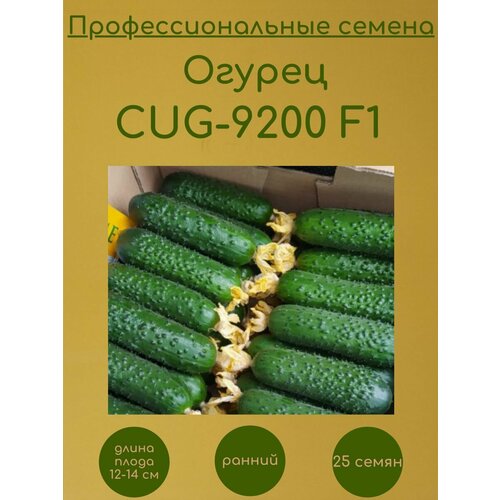   CUG-9200 F1 ( F1) 25    -     , -, 