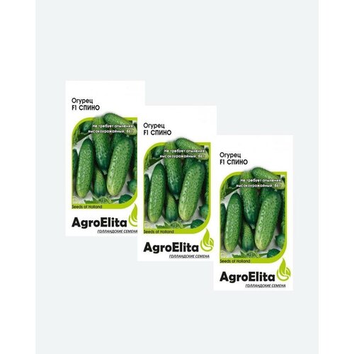     F1, 5, AgroElita(3 )   -     , -, 