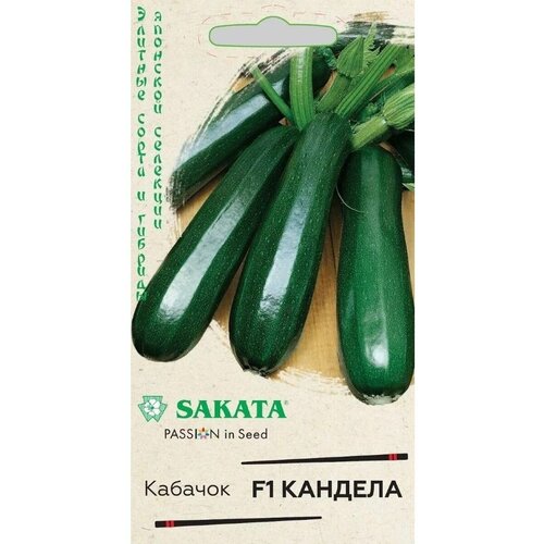    F1, Sakata   -     , -, 