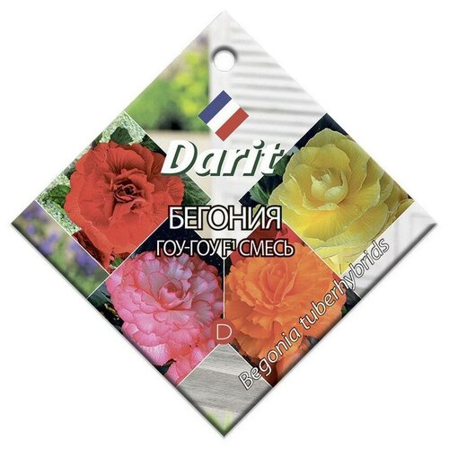   Darit  -  () F1 6    -     , -, 