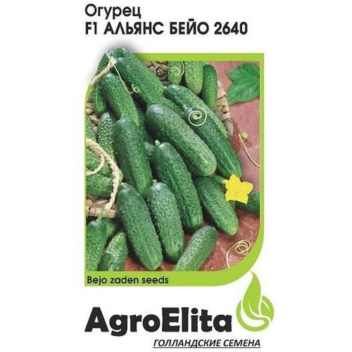    AgroElita    2640 F1 10 ., 10 .   -     , -, 