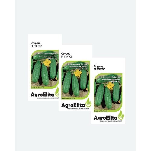     F1, 10, AgroElita, Nunhems(3 )   -     , -, 