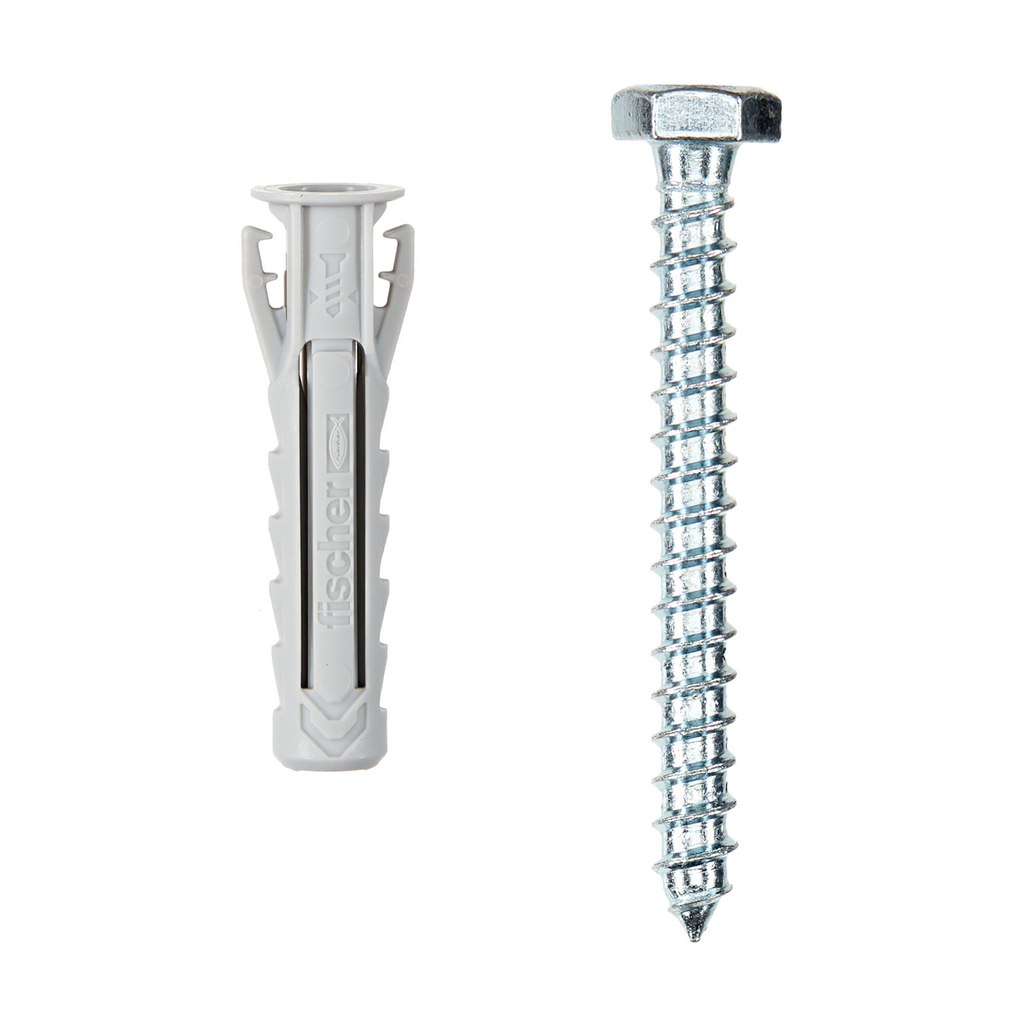 ���� ������ ��������� Fischer SX PLUS 10x50 �� ������ � ������� (4 ��.)   ������ ������