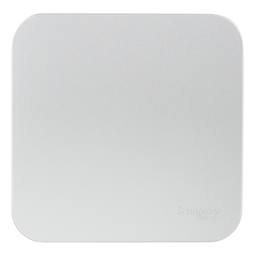 ���� ����������� Systeme Electric Blanca ������������� ��������� �������� � ������������� (BLNCA101013)   ������ ������