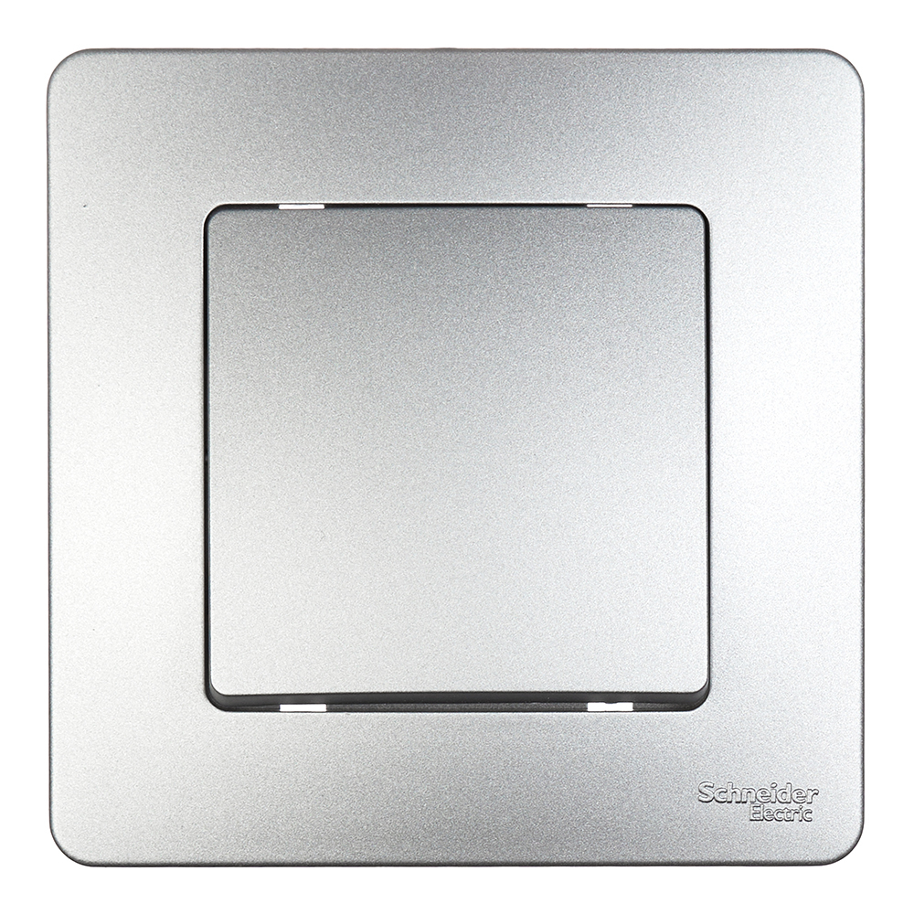 ���� ������������� Systeme Electric Blanca ������������ �������� (BLNVS010603)   ������ ������