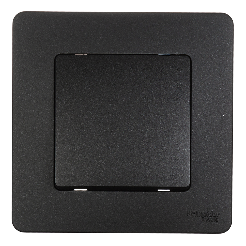 ���� ������������� Systeme Electric Blanca ������������ �������� (BLNVS010606)   ������ ������