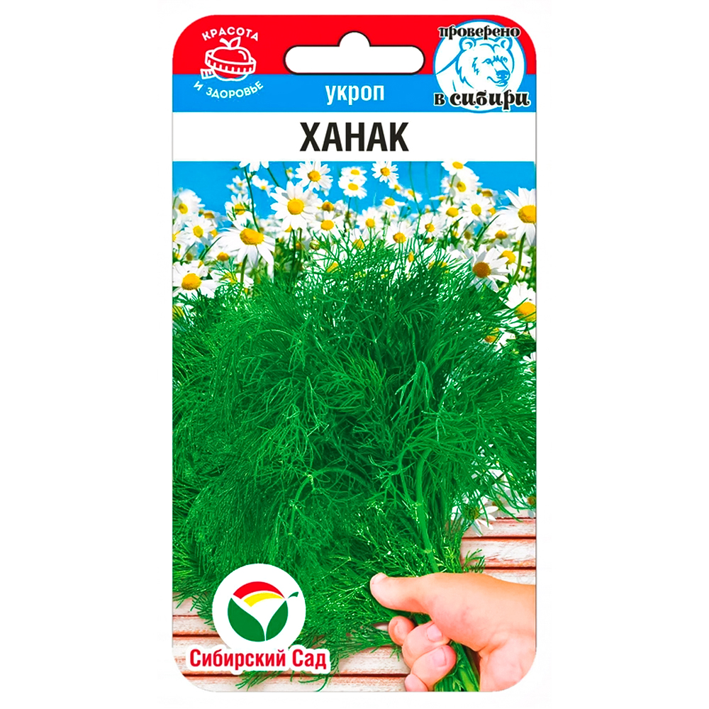 ���� ����� ����� ��������� ���   ������ ������