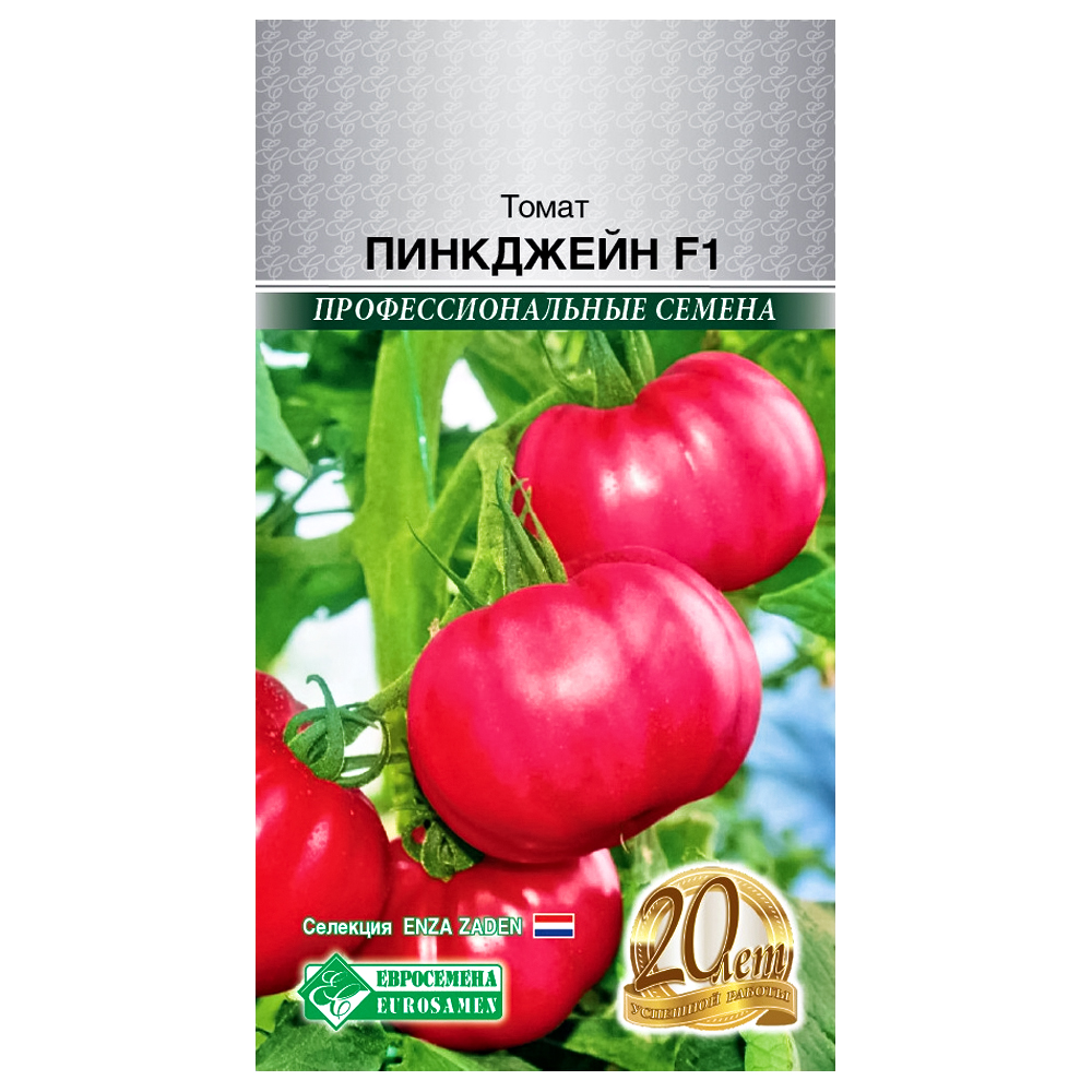 ���� ����� ��������� F1 ����������   ������ ������