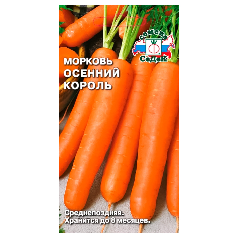 ���� ������� ������� ������ �����   ������ ������