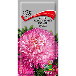 ���� ����� ����������� ������ �������   ������ ������