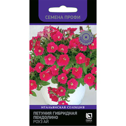 ���� ������� ��������� ��������� ���� �� (������ �����)   ������ ������