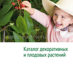 ���� ������� ������������ � �������� �������� (onlinesemena.ru)   ������ ������