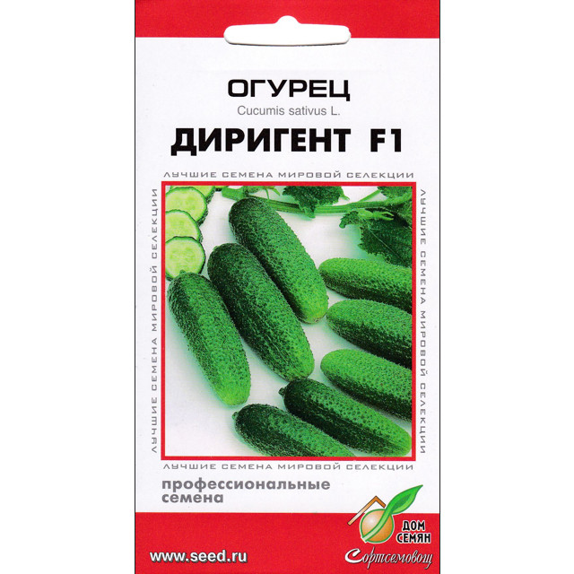���� ������ ������ ��� ����� �������� F1 6��   ������ ������