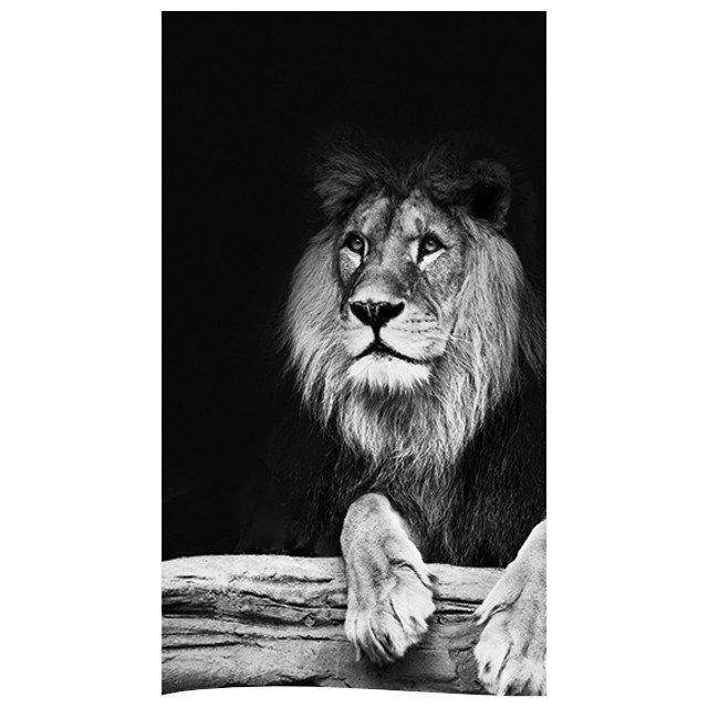 ���� ��������� ��� ������ 180�200�� Lion ���������   ������ ������