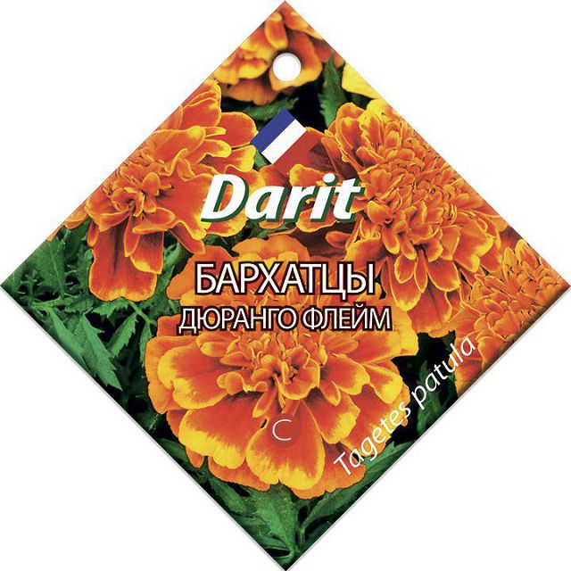 ���� ������ �������� DARIT ������� ����� 10��   ������ ������