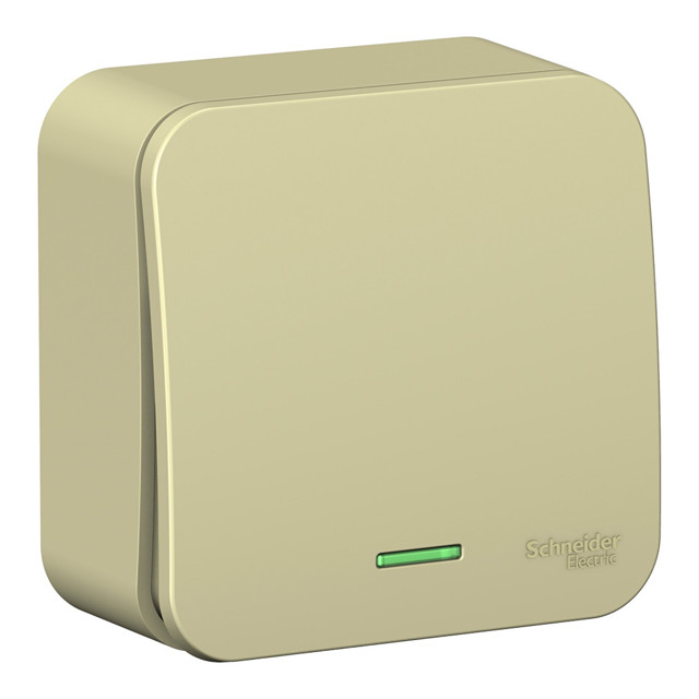 ���� ����������� 1-��������� SYSTEME ELECTRIC Blanca 10� �/� �������   ������ ������