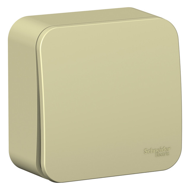 ���� ����������� 1-��������� SYSTEME ELECTRIC Blanca 10� �������   ������ ������