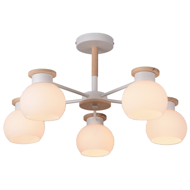 ���� ������ ���������� SCHAFFNER Lavero 5x60�� E27 �����   ������ ������