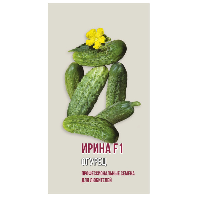 ���� ������ ������ ����� F1 ������ 5��   ������ ������