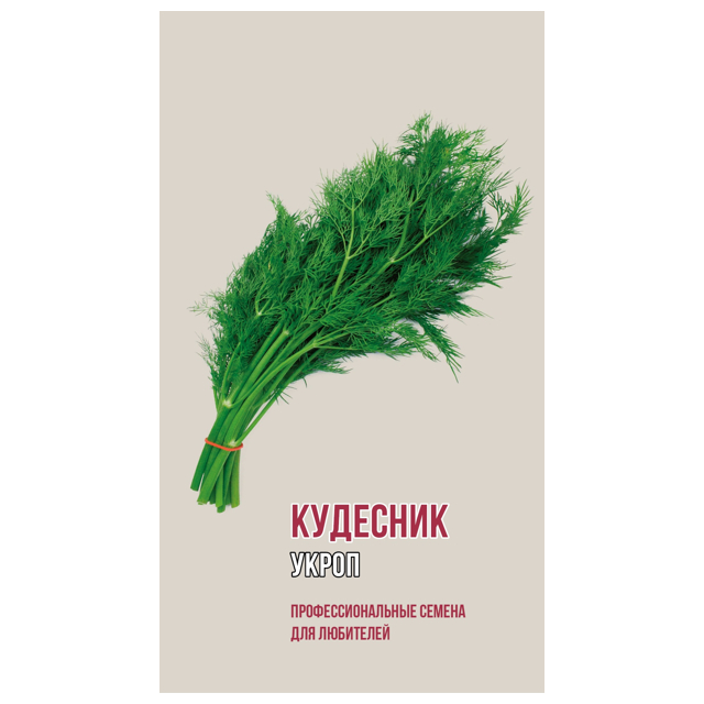 ���� ������ ����� �������� ������ 2�   ������ ������