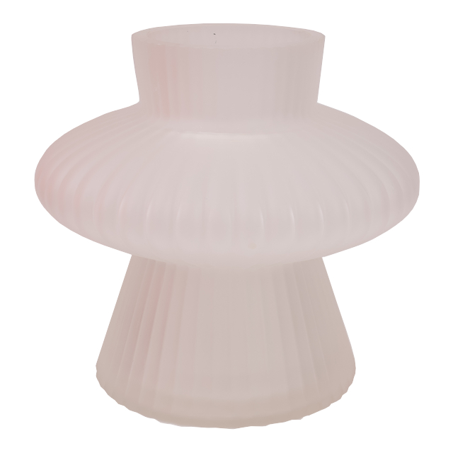 ���� ���� TODELIA ����� 18,5�� ������ �����   ������ ������