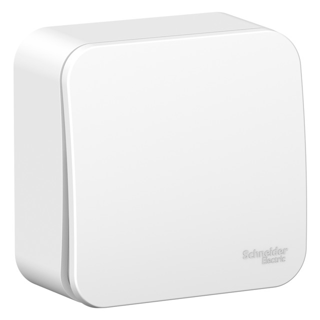 ���� ����������� 1-��������� SYSTEME ELECTRIC Blanca 10A �����   ������ ������