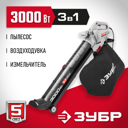���� ������� ������� ���� ����-3000, ����� ������ ������