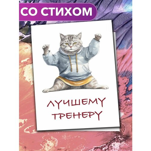 ���� 