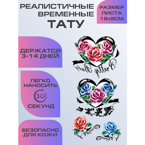 ���� ���� ���������� ��������������, ��������� ������ ������ ������