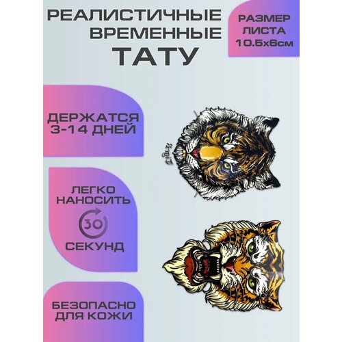 ���� ���� ����������, ��������� ���������� ���� ������ ������