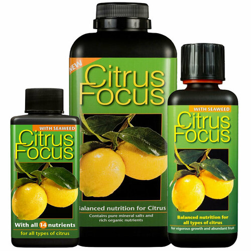       Growth Technology Citrus Focus   -     , -, 