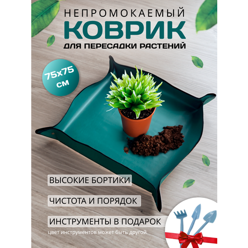 ���� ������ ��� ��������� �������� � ������ ����� ������� ������ ������