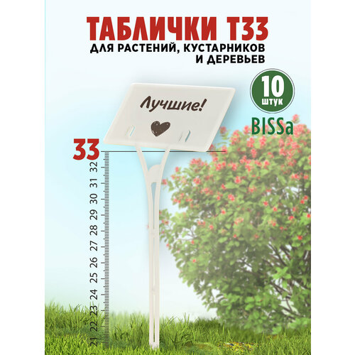 ���� ������� �������� ��� ��������, Bissa �33, �����, 10 �� ������ ������