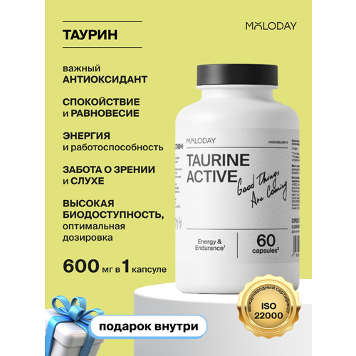 ���� ������ MOLODAY, ������ ������, ��� ������ �������, 60 ������ ������ ������