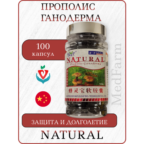 ���� �������� �������� � ���������, Propolis Ganoderma Natural, 100 ������ ������ ������