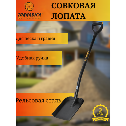 ���� ������ �������� � �������� ��������� / ������� ������ �������� �� ��������� ����� ������� ������ ������