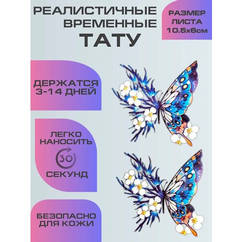 ���� ���������� ����������, ��������� ���� �������� ������� ������ ������