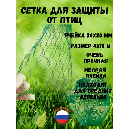 ���� ����� ��� ������ �� ���� ������ 20�20 �� ������ 4 � ����� 10� ������ ������