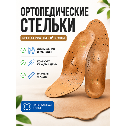 ���� ������� �������������� ������� ������ ������
