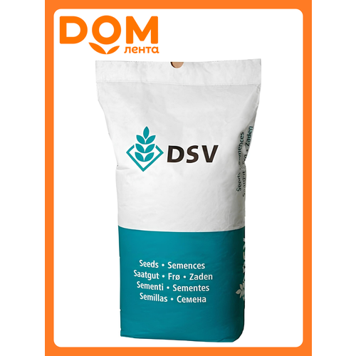 ���� ����� 420 ����� 5�� DSV ������ ������