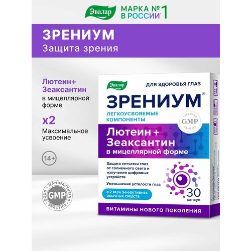 ���� ������ ������� ������� 30 �� ������ ������