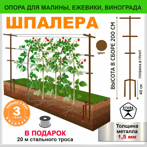 ���� ������� ������� ������ ������