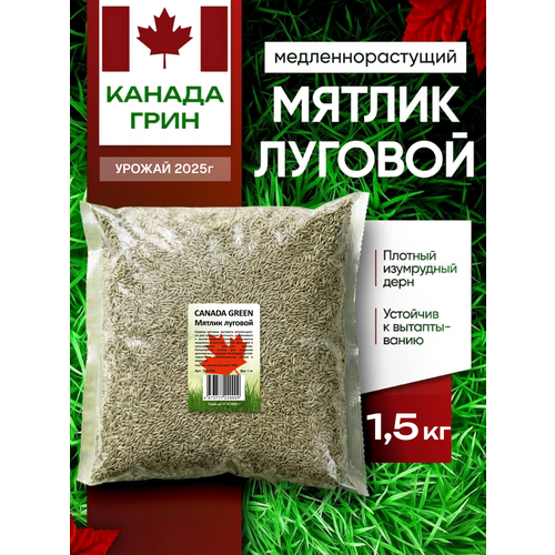 ���� ������ ������� ������ 100% Canada Green, 1,5 �� ������ ������