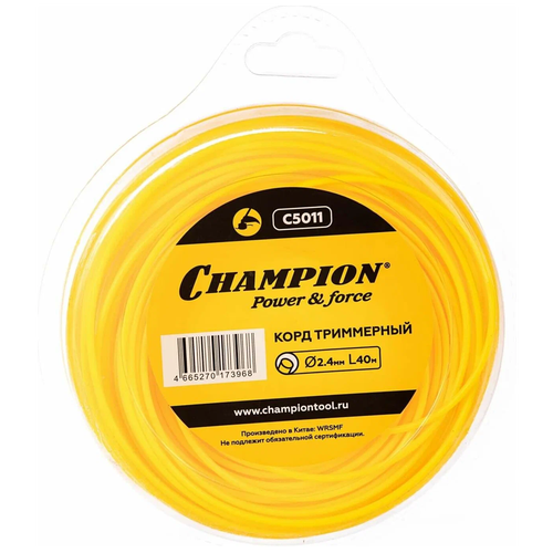 ���� ����� CHAMPION C5011 2.4 �� ������ ������