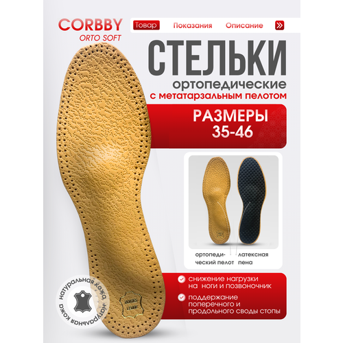 ���� ������� �������������� Orto Soft ������ ������