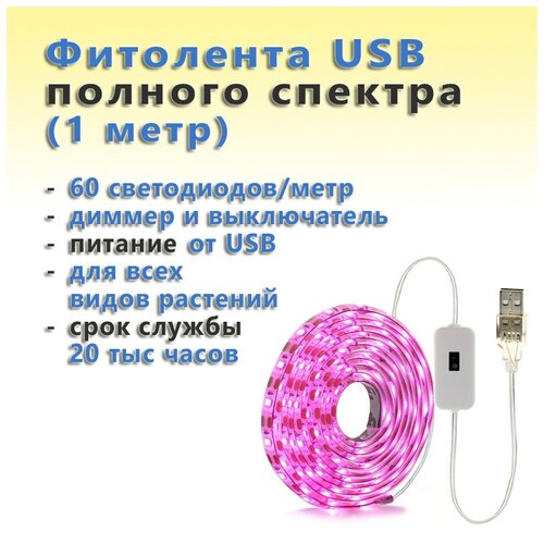  USB            (1 , 60 /)   -     , -, 
